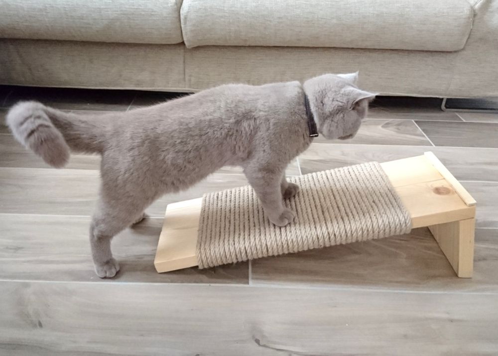 cat scratchers