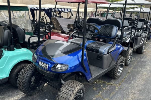 Essential checklist before booking your golf cart rental online today